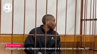 Студента из Гвинеи приговорили в Екатеринбурге к семи годам колонии за 17 свёртков Студента из Гвинеи приговорили в Екатеринбурге к семи годам колонии за 17 свёртков