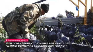 Ветераны СВО в Свердловской области станут участниками седьмого сезона «Школы фермера»