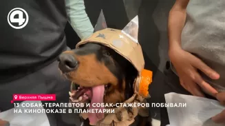 В планетарии Верхней Пышмы 13 собак-терапевтов посмотрели фильм о Белке и Стрелке