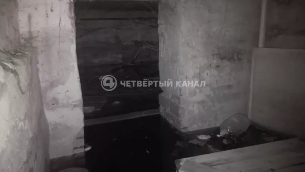 Глава СК РФ заинтересовался затопленным подвалом с тараканами в Большом Истоке