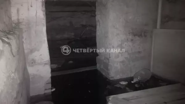 Глава СК РФ заинтересовался затопленным подвалом с тараканами в Большом Истоке