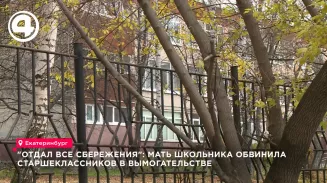 В Екатеринбурге мать школьника обвинила старшеклассников гимназии № 45 в вымогательстве