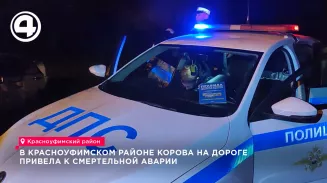 Водитель легковушки погиб после наезда на корову в Красноуфимском районе