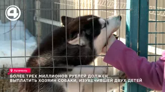 Хозяин собаки выплатит 3 млн рублей за нападение на детей в Арамиле