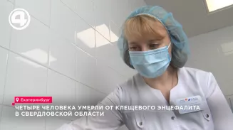 На Среднем Урале от клещевого энцефалита умерли четыре непривитых человека