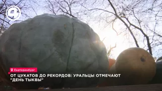 Уральцы отметили День тыквы: в зоопарке победил плод весом 20 килограммов
