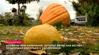 Депутат Вегнер предложил топить тыквы в Исети на Хэллоуин