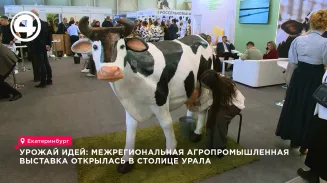 Агропромышленная выставка УрФО открылась в Екатеринбурге