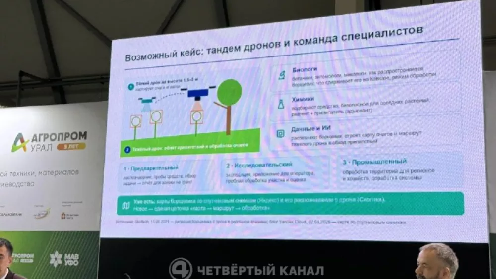 В УрФУ предложили использовать дроны с ИИ для борьбы с борщевиком