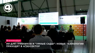 Дроны с ИИ будут бороться с борщевиком на Урале